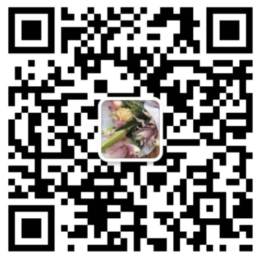 the qr code